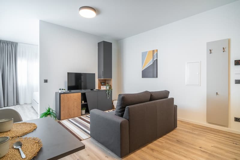 City Pop - Studio Apartments in Basel, next to the train station (18)