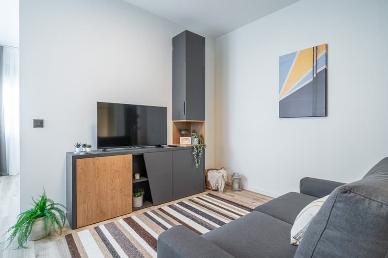 City Pop - Studio Apartments in Basel, next to the train station (15)