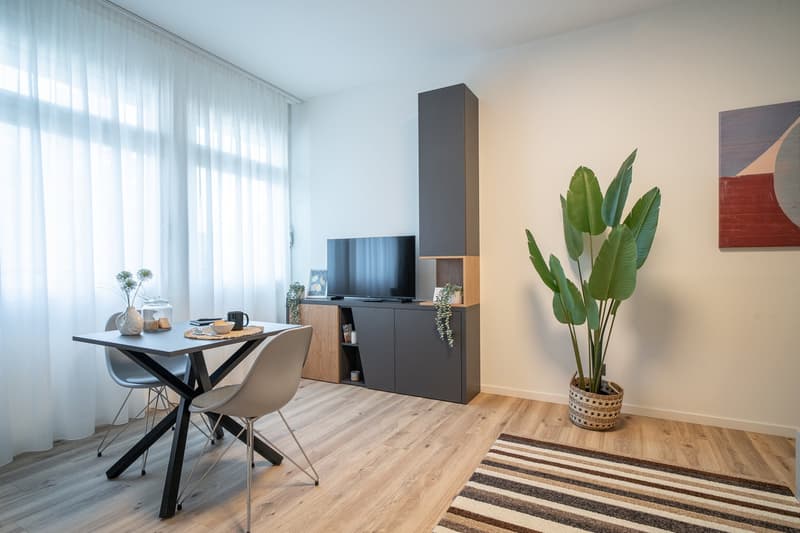 City Pop - Studio Apartments in Basel, next to the train station (8)