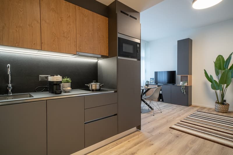City Pop - Studio Apartments in Basel, next to the train station (6)