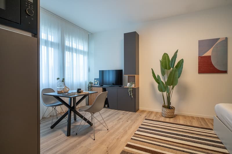 City Pop - Studio Apartments in Basel, next to the train station (13)