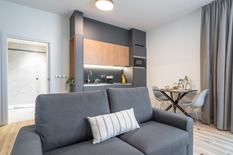 City Pop - Studio Apartments in Basel, next to the train station (16)