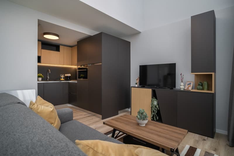 City Pop - Cosy Studio Apartments in San Gallen (19)
