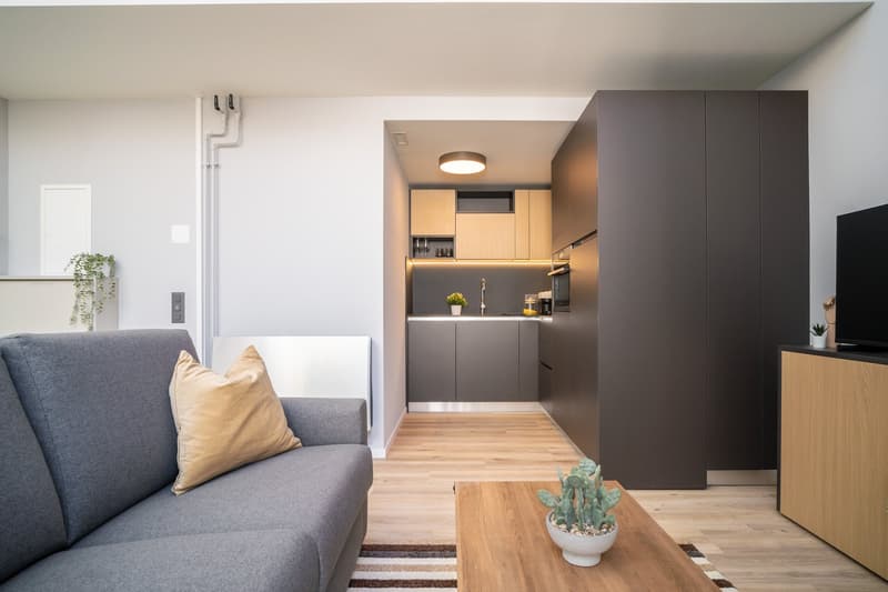City Pop - Cosy Studio Apartments in San Gallen (5)