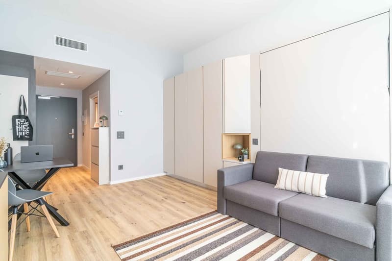 small living room with grey couch, sofa bed, wooden floor, carpet, desk, dining chairs, and white walls