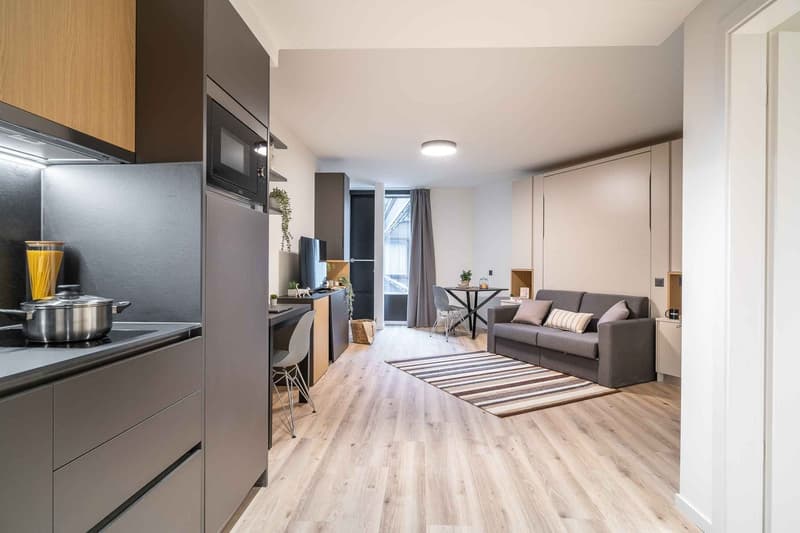 City Pop - Cosy Studio Apartments in KleinBasel (7)