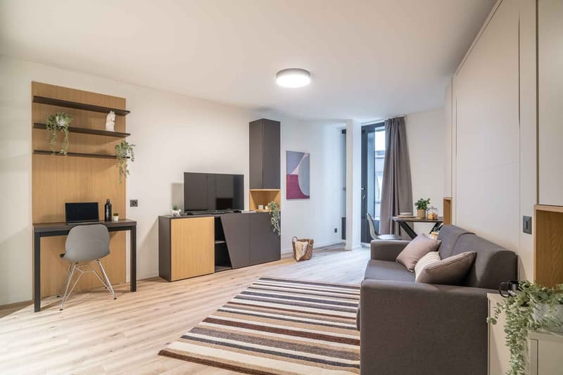 City Pop - Cosy Studio Apartments in KleinBasel (2)