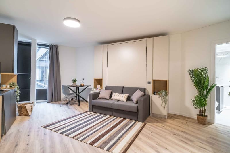 City Pop - Cosy Studio Apartments in KleinBasel (6)