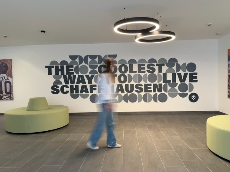 Stylish Pop-room in Schaffhausen - no kitchen (6)