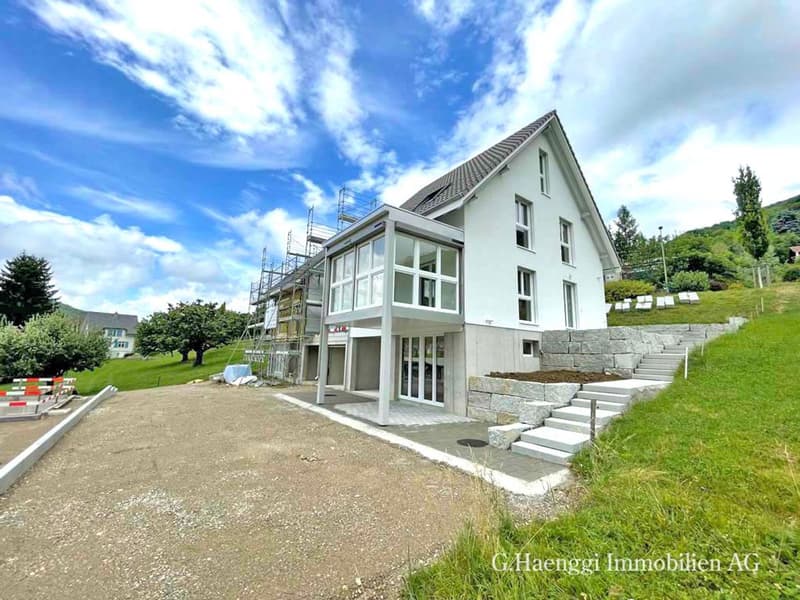 4 neue, grosszügige 5 bis 7.5-Zi-EFH mit weiter Aussicht in Läufelfingen (1)