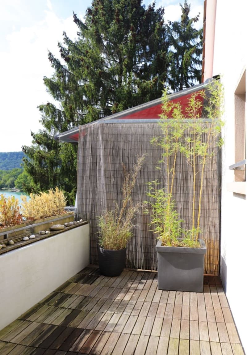 Ruhige 3.5 Zimmer-Wohnung direkt am Rhein (4)