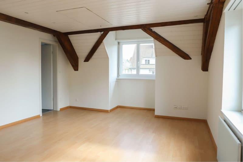 Ruhige 3.5 Zimmer-Wohnung direkt am Rhein (10)