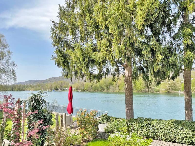 Ruhige 3.5 Zimmer-Wohnung direkt am Rhein (1)