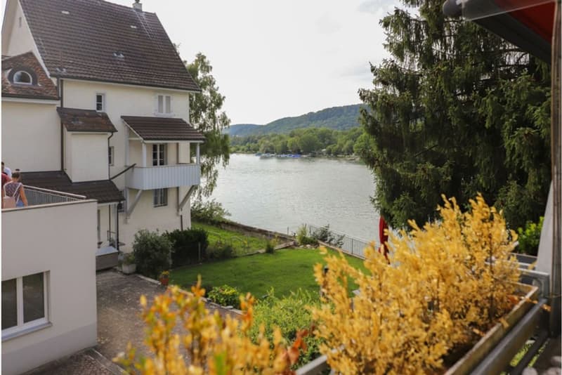 Ruhige 3.5 Zimmer-Wohnung direkt am Rhein (3)