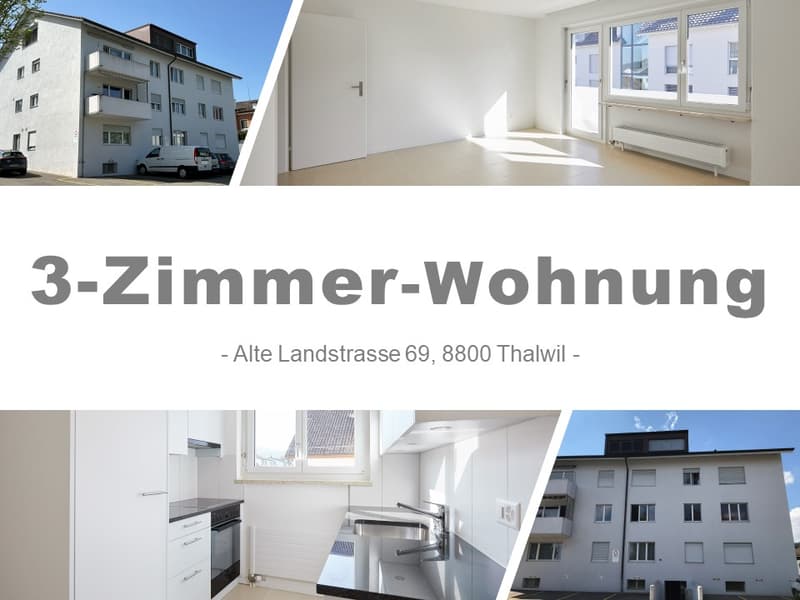 Moderne 3-Zimmer-Wohnung in Thalwil: Vollständig saniert im Jahr 2018! (1)