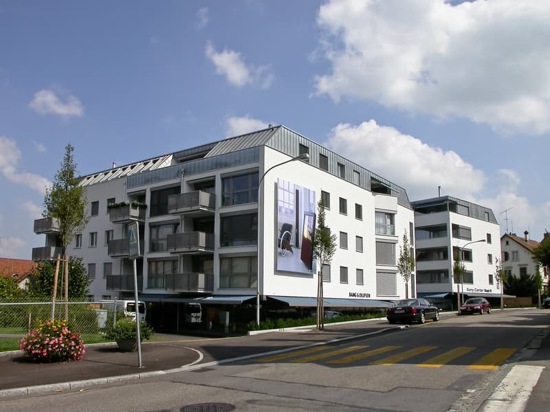 Wohlfühloase im Herzen von Thalwil (8)
