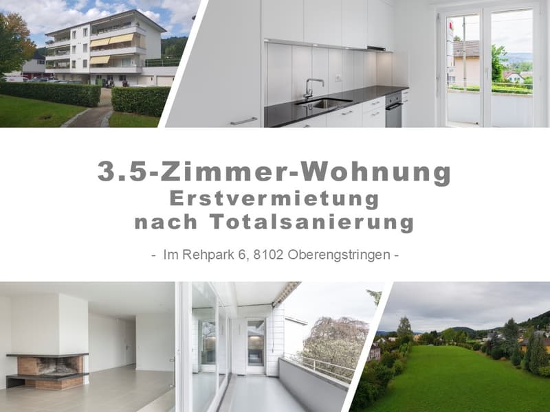 3 ½-Zimmerwohnung mit grossem Balkon - Erstvermietung nach Totalsanierung (1)