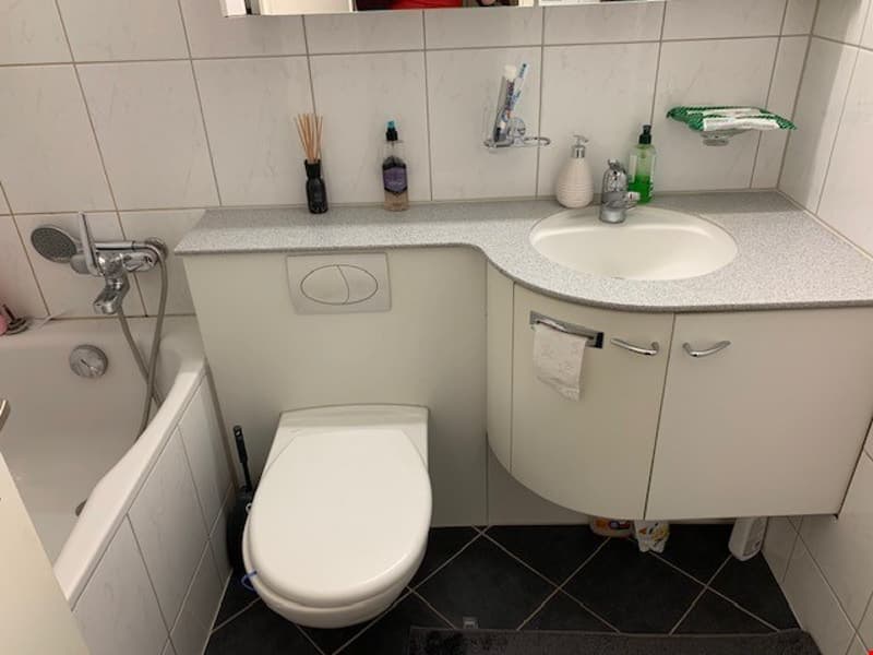 Ruhige Wohlfühloase 2 Zimmerwohnung mit Limmatblick und zentraler Lage (9)