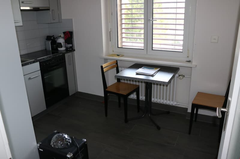 Ruhige Wohlfühloase 2 Zimmerwohnung mit Limmatblick und zentraler Lage (7)