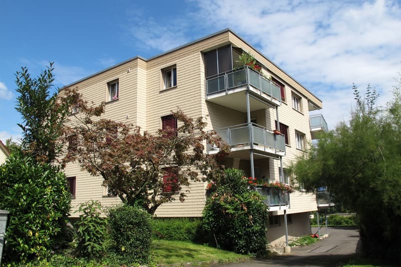 Ruhige Wohlfühloase 2 Zimmerwohnung mit Limmatblick und zentraler Lage (1)