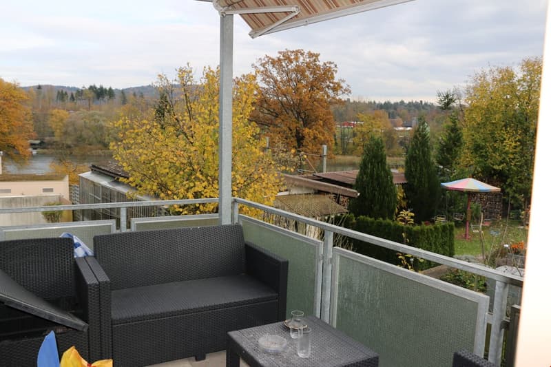 Ruhige Wohlfühloase 2 Zimmerwohnung mit Limmatblick und zentraler Lage (3)