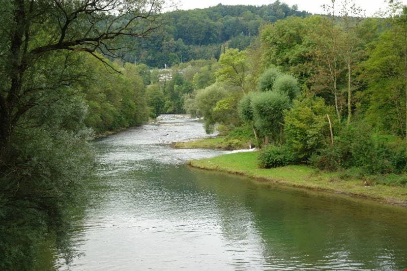 Ruhige Wohlfühloase 2 Zimmerwohnung mit Limmatblick und zentraler Lage (2)