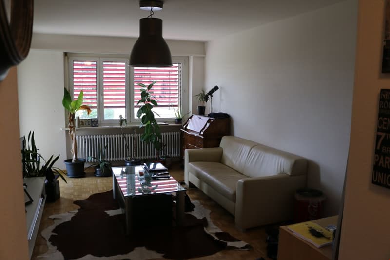 Ruhige Wohlfühloase 2 Zimmerwohnung mit Limmatblick und zentraler Lage (8)