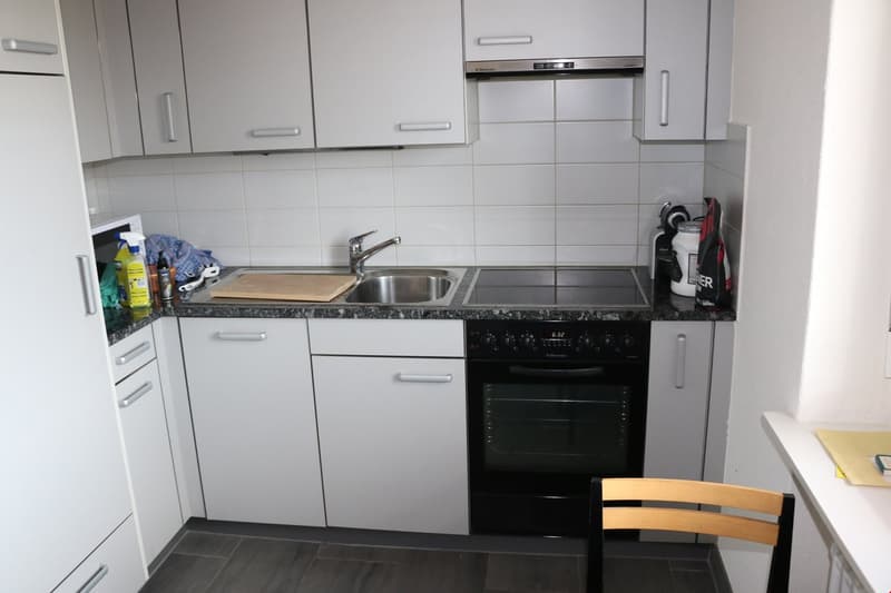 Ruhige Wohlfühloase 2 Zimmerwohnung mit Limmatblick und zentraler Lage (6)