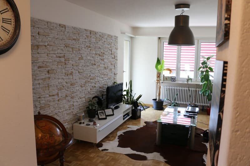 Ruhige Wohlfühloase 2 Zimmerwohnung mit Limmatblick und zentraler Lage (5)