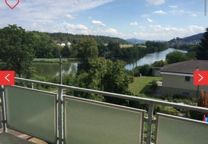 Ruhige Wohlfühloase 2 Zimmerwohnung mit Limmatblick und zentraler Lage (4)