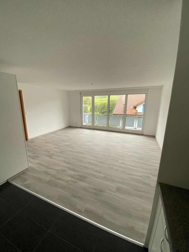 Magnifique et Spacieux!! Appartement 2.5 pieces!! (4)