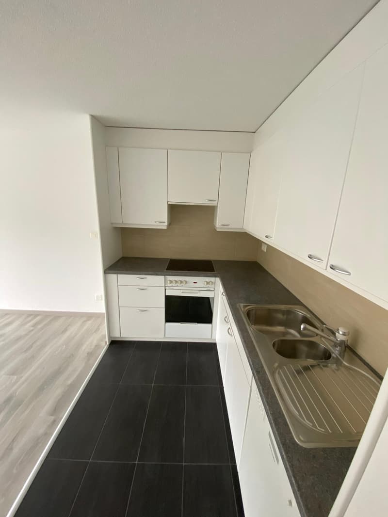 Magnifique et Spacieux!! Appartement 2.5 pieces!! (5)