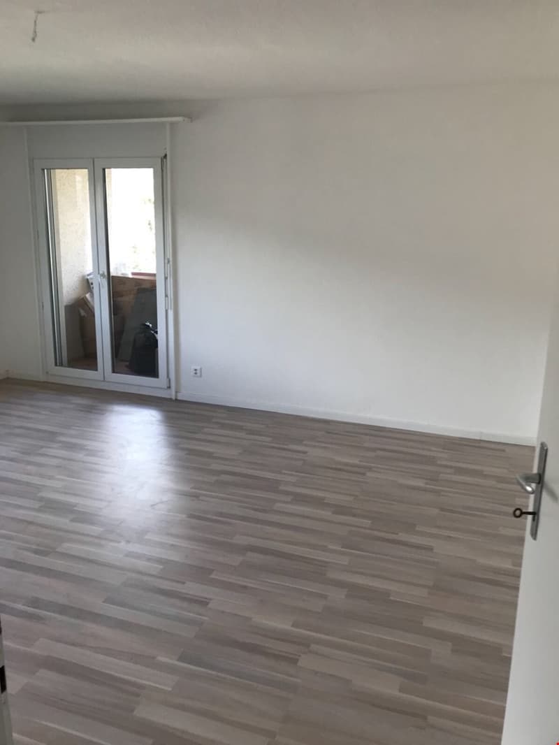 Charmant appartement de 1,5 pièce à Delémont (3)