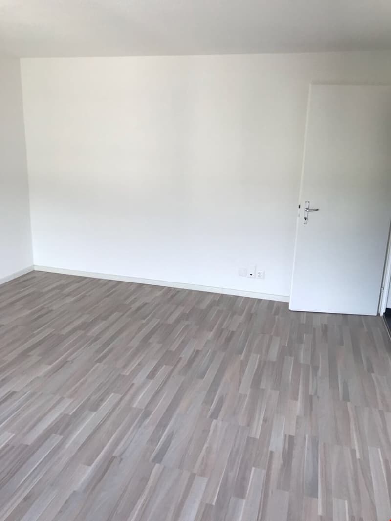 Charmant appartement de 1,5 pièce à Delémont (4)