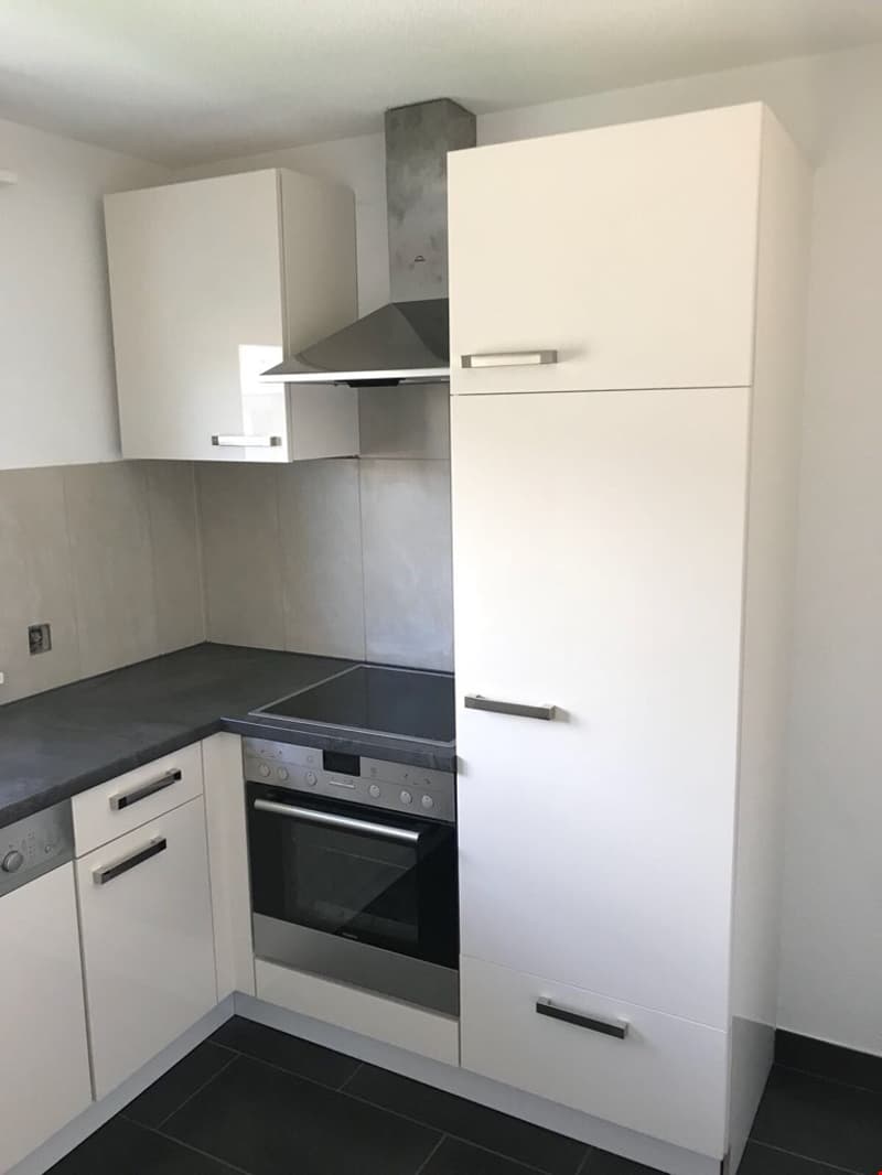 Charmant appartement de 1,5 pièce à Delémont (2)