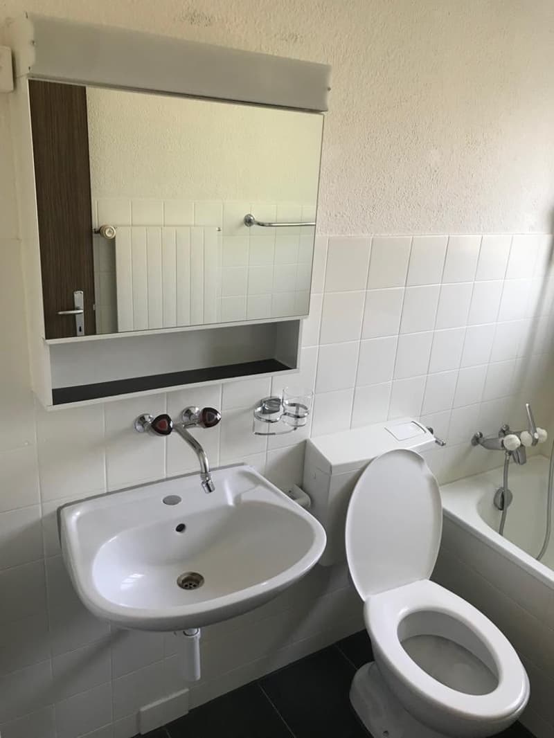 Herrliche 4-Zimmerwohnung mit eigener Waschmaschine und Balkon zu vermieten!! (5)