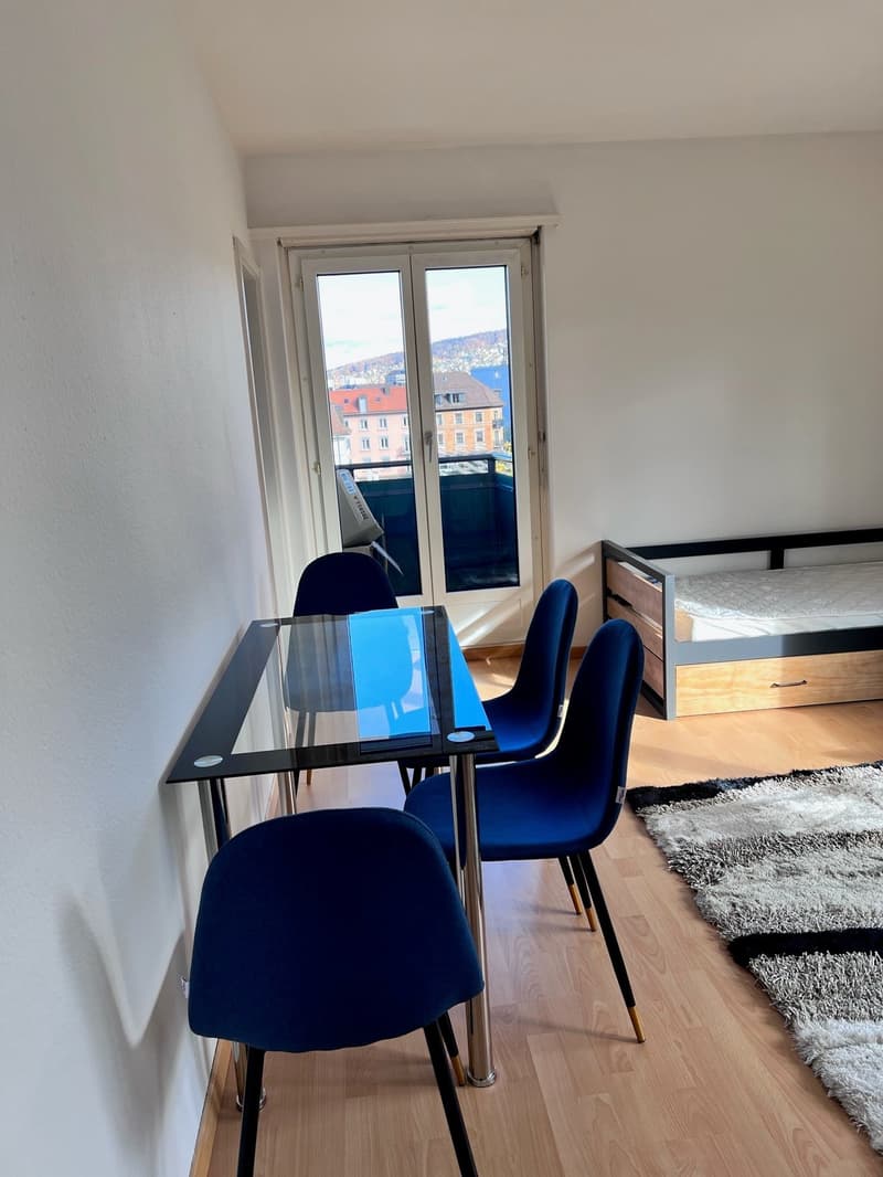 Möbliert wohnen in Wiedikon – Zentrale 1-Zimmer-Wohnung zur Untermiete minimum 6 Monaten!! (4)