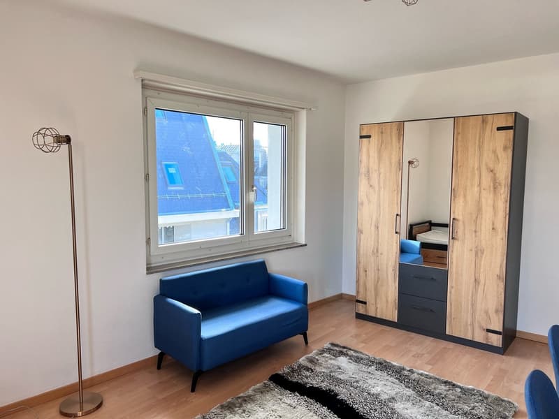Möbliert wohnen in Wiedikon – Zentrale 1-Zimmer-Wohnung zur Untermiete minimum 6 Monaten!! (3)