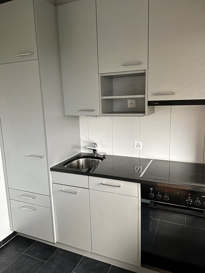 Möbliert wohnen in Wiedikon – Zentrale 1-Zimmer-Wohnung zur Untermiete minimum 6 Monaten!! (5)