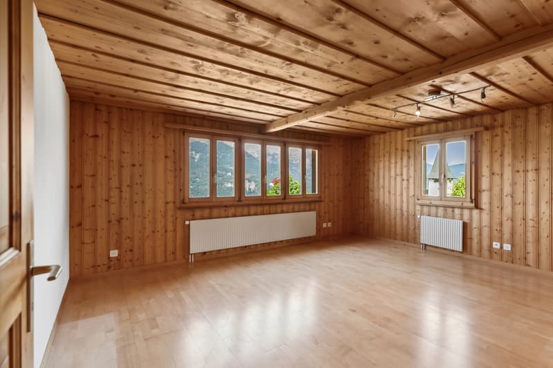 Traumaussicht im Churer Rheintal! (4)