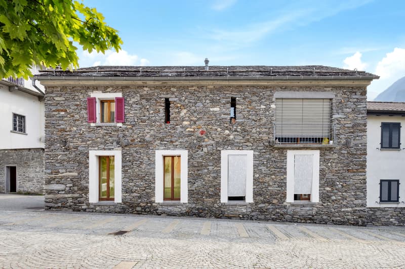 Investimento a 10 minuti da Bellinzona! (10)
