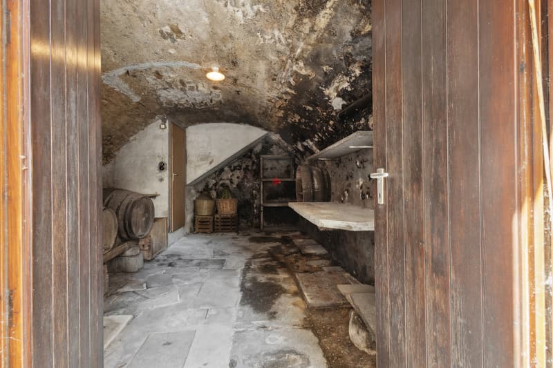 / La vecchia cantina a volta è accessibile sia dall'esterno che dal vano scale interno e si presta perfettamente per conservare formaggi, salumi o altro.