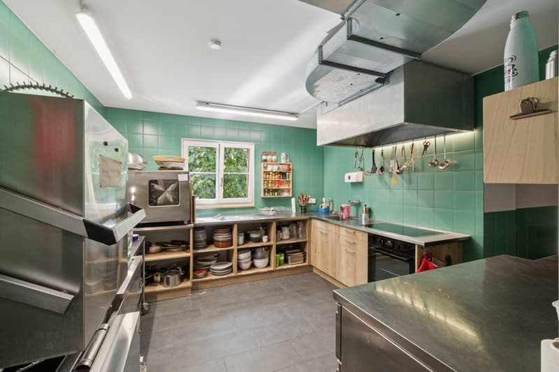 Renovated Lindenhof property, close to nature and the city! (5)