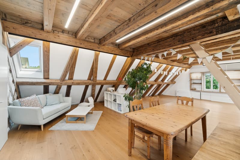 Renovated Lindenhof property, close to nature and the city! (2)