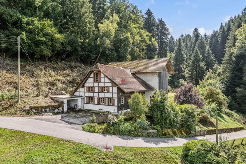 Bauernhaus mit Scheune als Wohlfühloase in der idyllischen Natur (1)