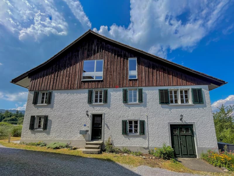 Historisches Flarzhaus trifft modernen Wohnkomfort (5)