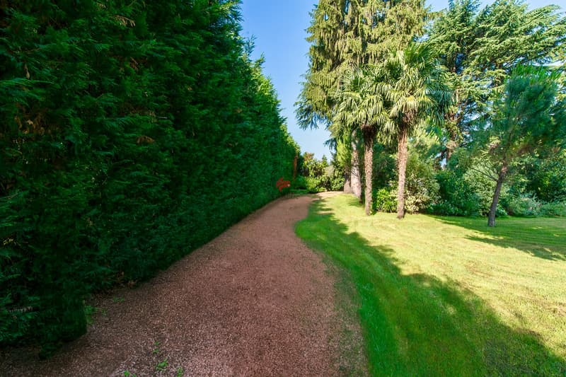 / Passeggiando sul viale del giardino