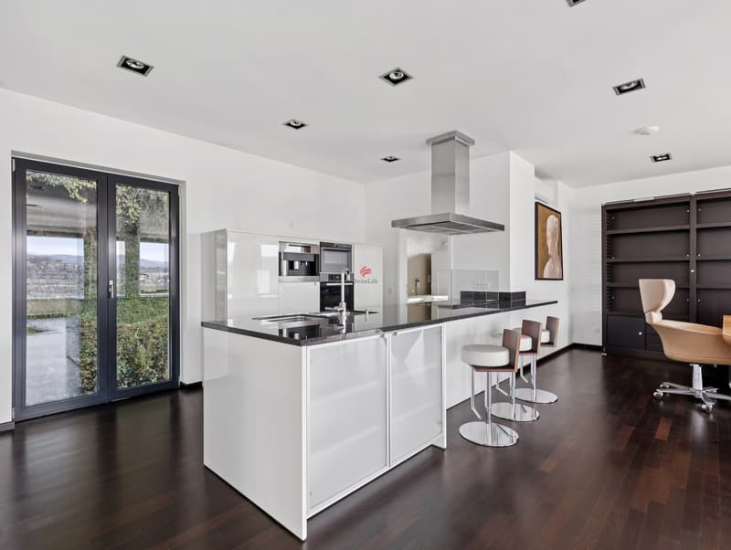 Ikonisches Penthouse mit Dachterrasse und Seeblick (3)