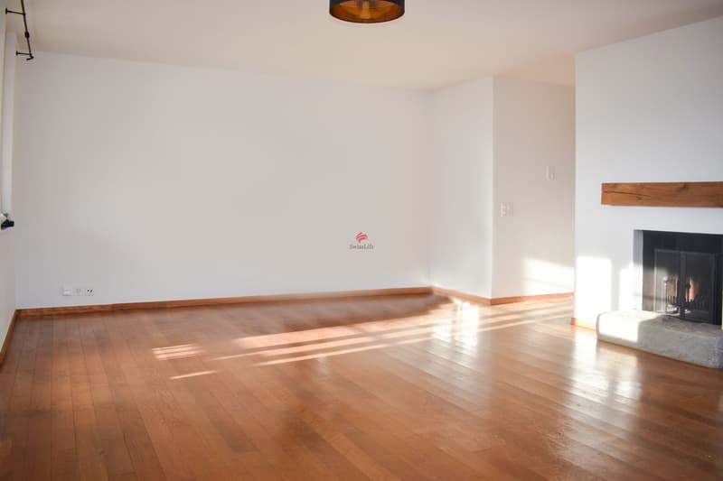 Wohngenuss der Extraklasse mit Panoramablick (7)