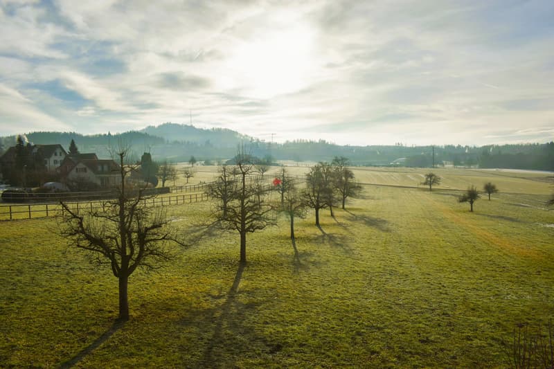 Wohngenuss der Extraklasse mit Panoramablick (3)